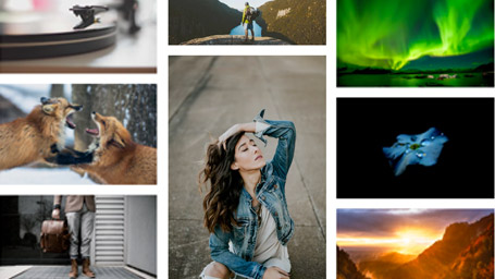 Online Content-Katalog Online Content-Katalog