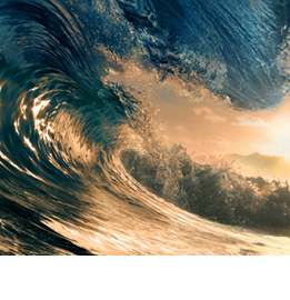 MAGIX Video deluxe Premium