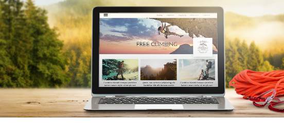 Web Designer