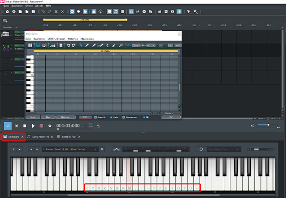 Bildschirm-Keyboard und Tastatursymbole aktivieren