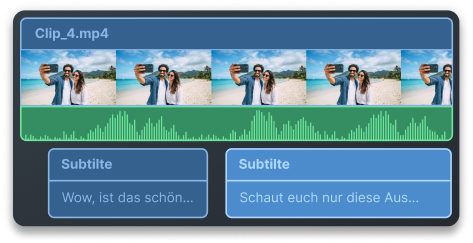 Video timeline