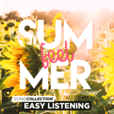 Summer Feel Summer Feel
