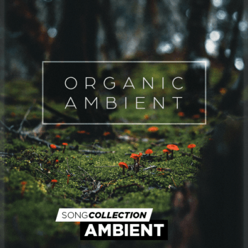 Collezione di canzoni Ambient - Organic Ambient