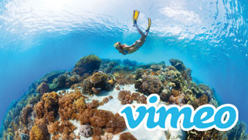 Fantastische 360° Filme exportieren