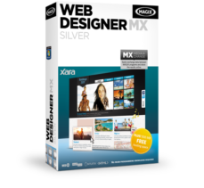 Web Designer Silver