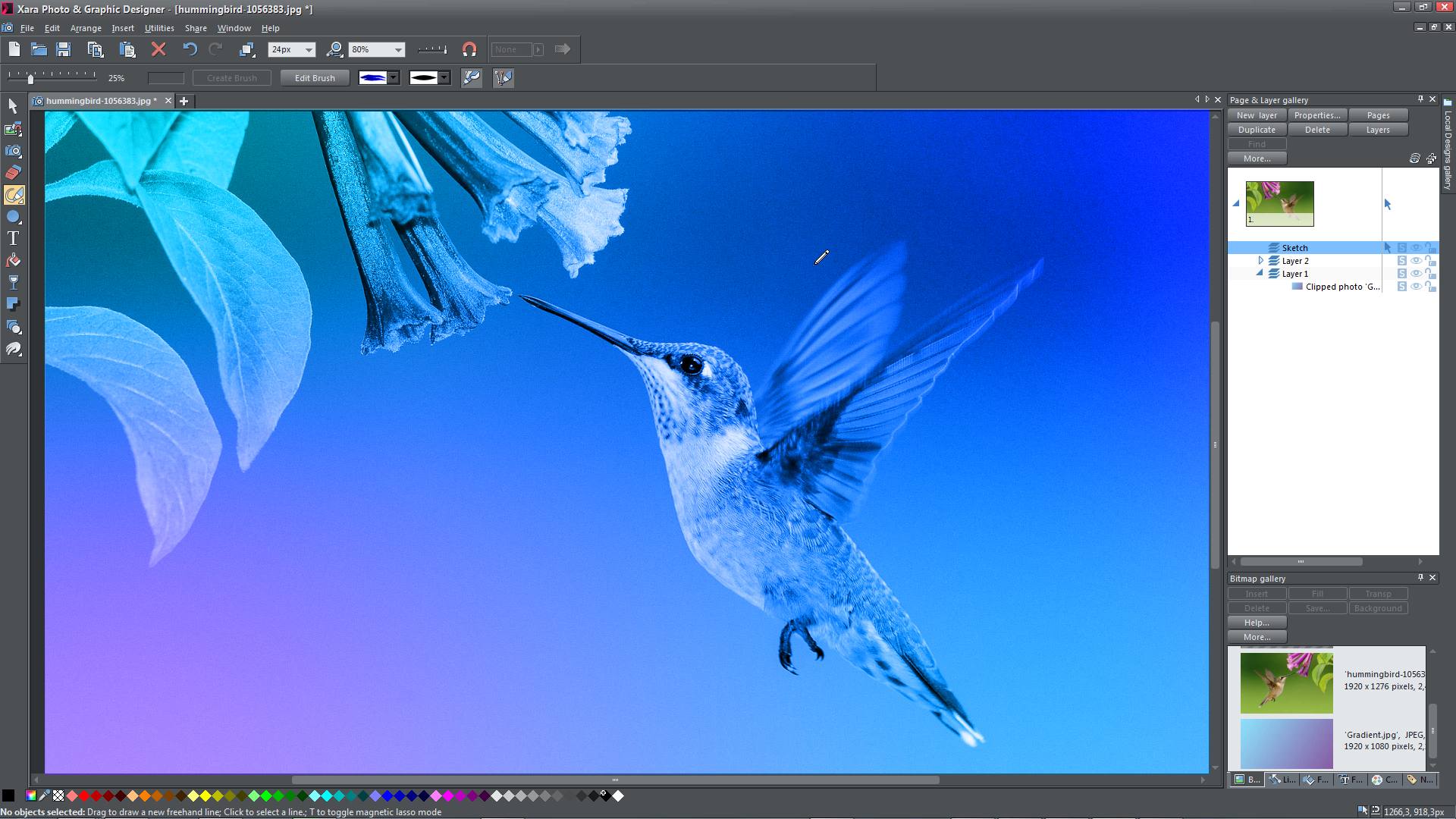 Xara Photo & Graphic Designer 17 Xara Photo & Graphic Designer 17