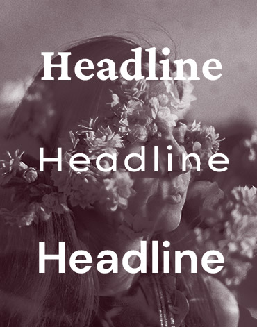 Google fonts Google fonts