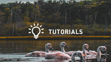 Videotutoriales online gratuitos Videotutoriales online gratuitos