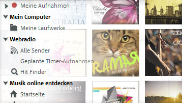 Musik organisieren