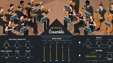 Orchestral Ensemble Orchestral Ensemble