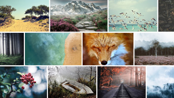 Infinite beauty: Archive photos Infinite beauty: Archive photos
