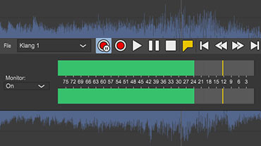 Remote Recording window Remote Recording window