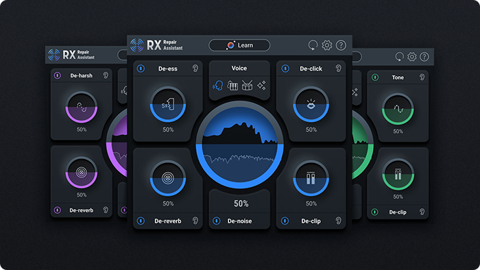 RX 10 Elements de iZotope RX 10 Elements de iZotope