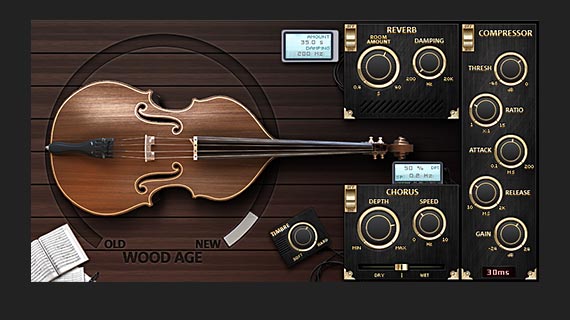 Upright Bass