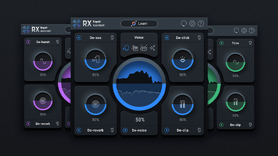 iZotope RX 10 Elements iZotope RX 10 Elements