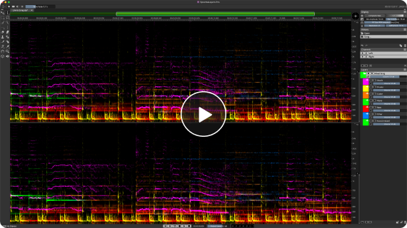 Steinberg SpectraLayers Pro 11