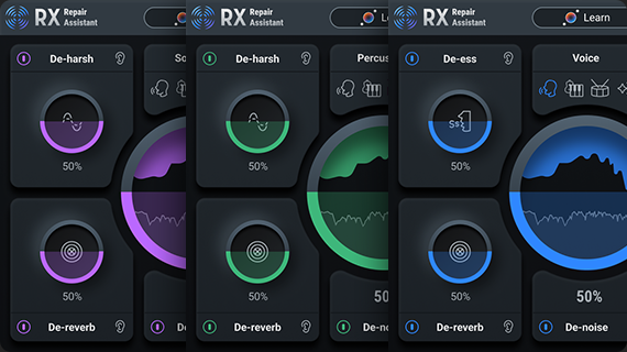 RX 10 Elements de iZotope