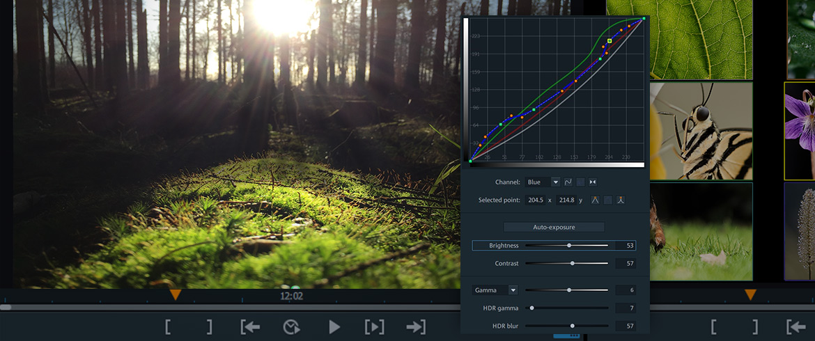 magix video pro x magix video pro x