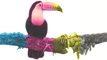 Obsługa barw CMYK Obsługa barw CMYK