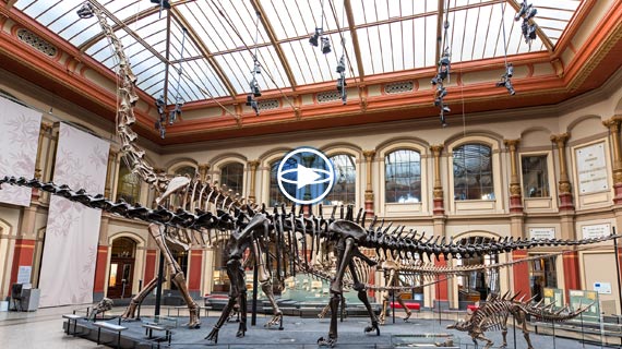 Virtual Tours Created With Virtual Places