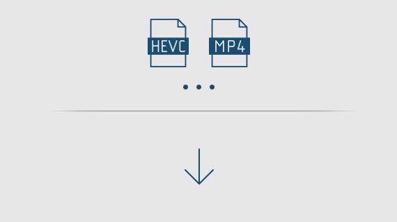 Format support for import Format support for import