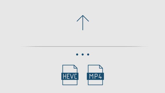 Format support for export Format support for export