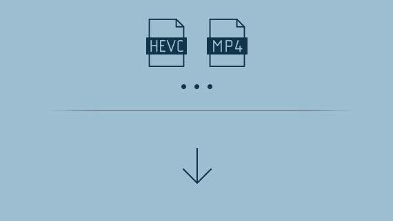 Importar compatibilidad de formatos