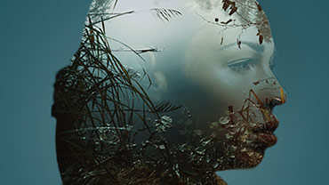 1,500 effects, titles and transitions 1,500 effects, titles and transitions