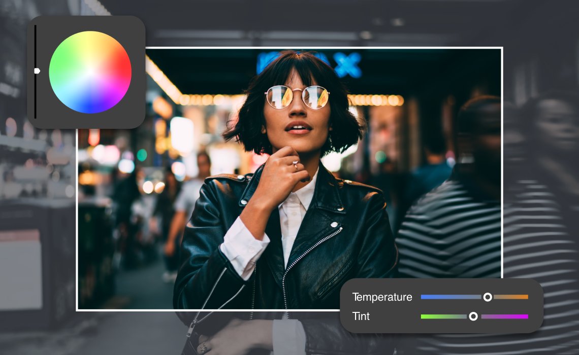 FXhome Ignite Colorizer