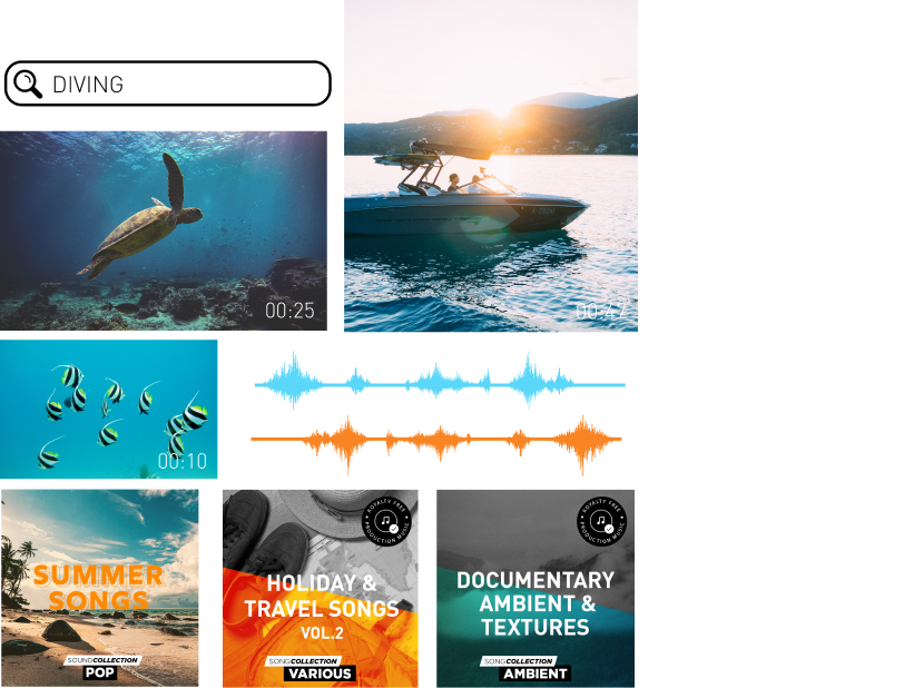 Movie Studio Discover what's new!