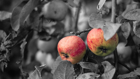 High-quality photo filters - example 2