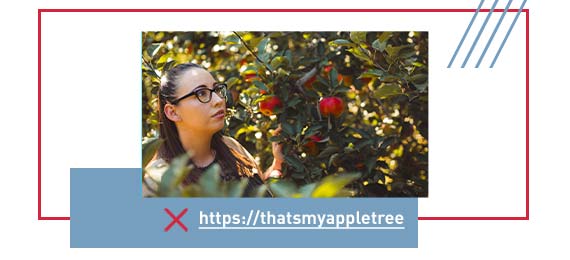 Optimierte Verlinkungen Optimierte Verlinkungen
