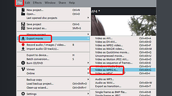 Step 3: Convert MOV to MP4 Export as MP4