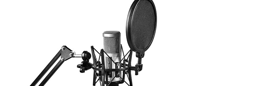 Image of a large diaphragm microphone for the creation of audio recordings
