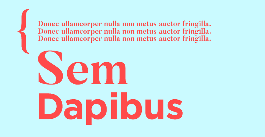 Serif oder Sans Serif, das ist hier die Frage. Was für Schrifttypen gibt es?