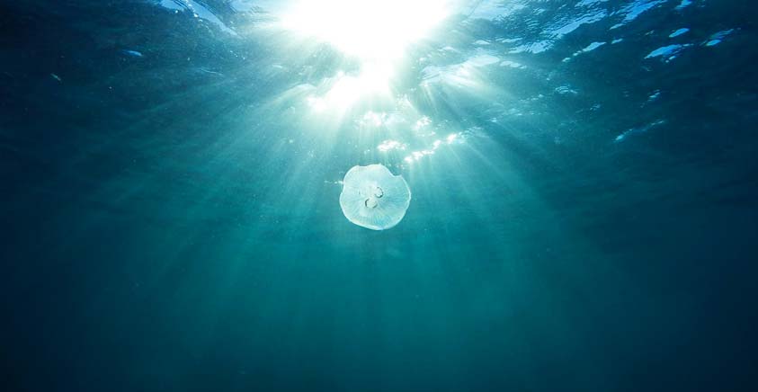 Licht im Wasser und an Land Licht im Wasser und an Land