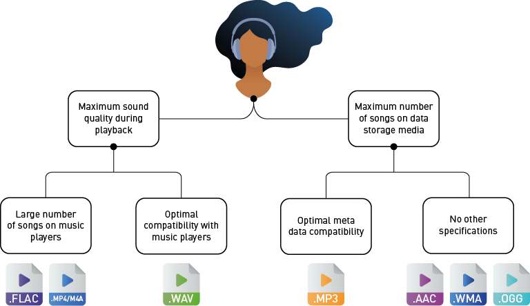 Flow chart of potential applications for audio formats