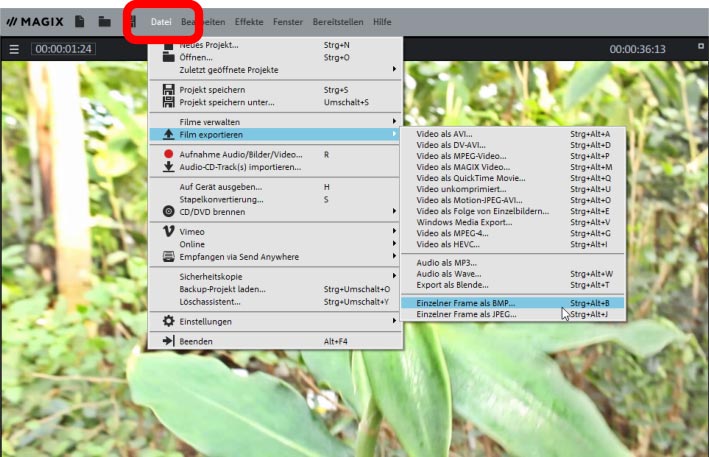 Videodatei exportieren Datei-Export nach Farbkorrektur