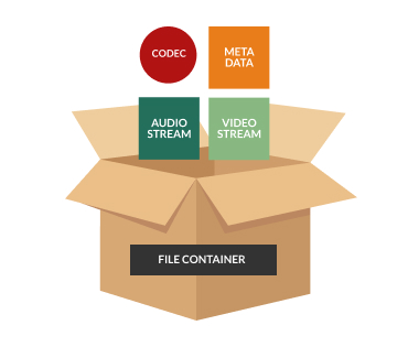 Quem edita vídeos no computador lida com diferentes formatos de vídeo.