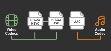 The codec is the "language" of the video, which contains the information used to combine bits and bytes into a video image.