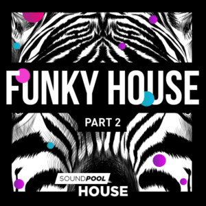 House - Funky House Part 2